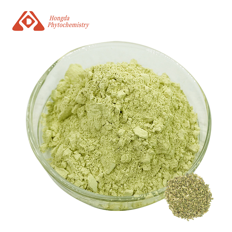 Rutin Extract Powder